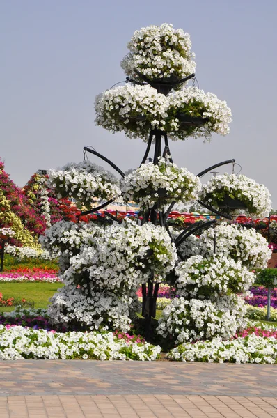 Дубайский микро-сад в ОАЭ — стоковое фото