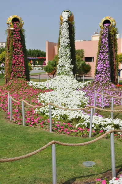 Dubai Miracle Garden en los Emiratos Árabes Unidos —  Fotos de Stock