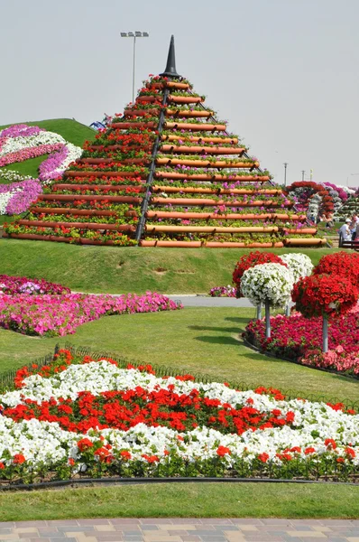 Dubai miracle garden in den uae — Stockfoto