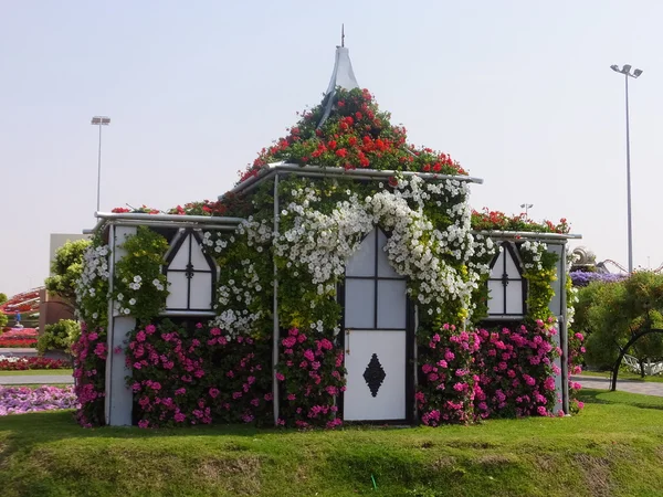 Dubai miracle garden in den uae — Stockfoto