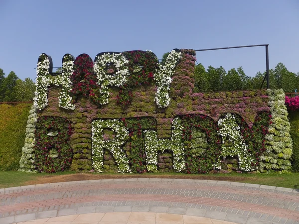 Dubai Miracle Garden in the UAE — Stock Photo, Image