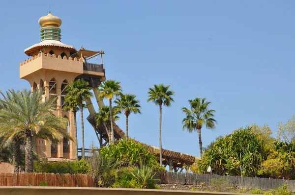 Wild wadi su parkı Dubai