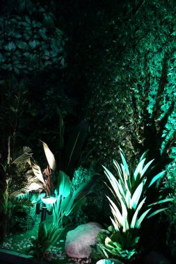 DUBAI, BAE - 20 DEC: 20 Aralık 2021 'de Dubai, BAE' de Hindistan pavyonu.