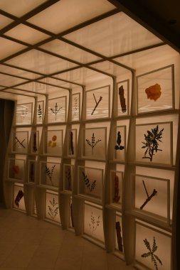 DUBAI, BAE - 20 Aralık 2021 'de Dubai, BAE' deki Expo 2020 'de Umman pavyonu.