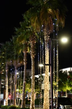 DUBAI, BAE - 22 Aralık 2023 'te Dubai, BAE' deki Bluewater Adası 'nda Palmiye Ağaçları.