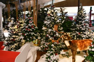 DUBAI, BAE - 22 Aralık 2023 'te Dubai, BAE' deki Times Square Center 'da Kış Harikalar Diyarı.