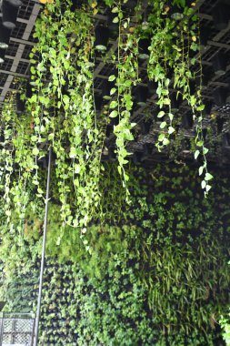 DUBAI, BAE - 20 Aralık 2021 'de Dubai, BAE' deki Expo 2020 'de Singapur pavyonu.