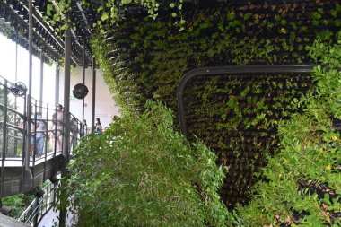 DUBAI, BAE - 20 Aralık 2021 'de Dubai, BAE' deki Expo 2020 'de Singapur pavyonu.