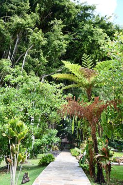 KAPAA HI - 18 AUG Hawaii 'deki Kauai Hindu Manastırı' ndaki Kadavul Tapınağı.