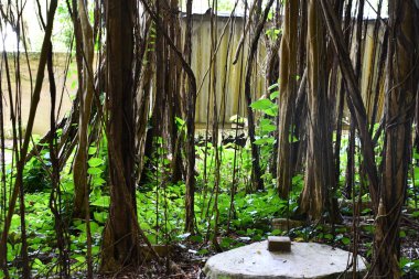 KAPAA HI - 18 AUG Hawaii 'deki Kauai Hindu Manastırı' ndaki Kadavul Tapınağı.