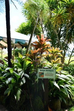 KAPAA HI - 18 AUG Hawaii 'deki Kauai Hindu Manastırı' ndaki Kadavul Tapınağı.