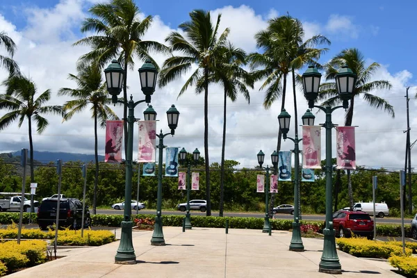 Kapaa Aug Mercado Coco Kapaa Ilha Kauai Havaí Como Visto — Fotografia de Stock