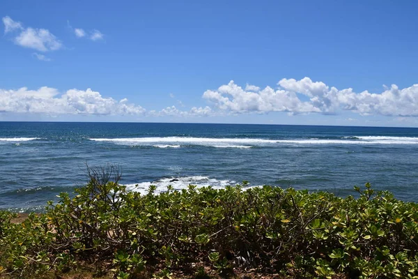 Ponto Kaiakea Kapaa Ilha Kauai Havaí — Fotografia de Stock