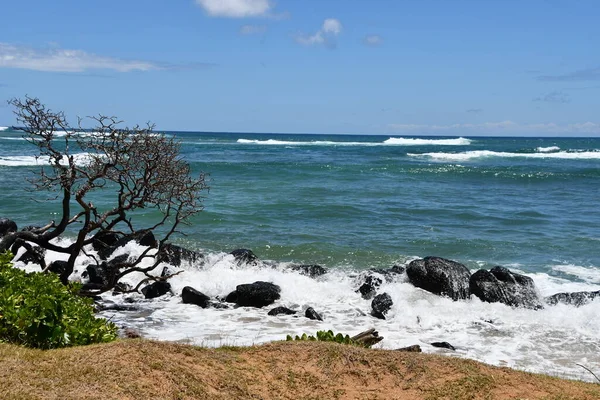 Пляжный Парк Капаа Острове Кауаи Гавайях — стоковое фото