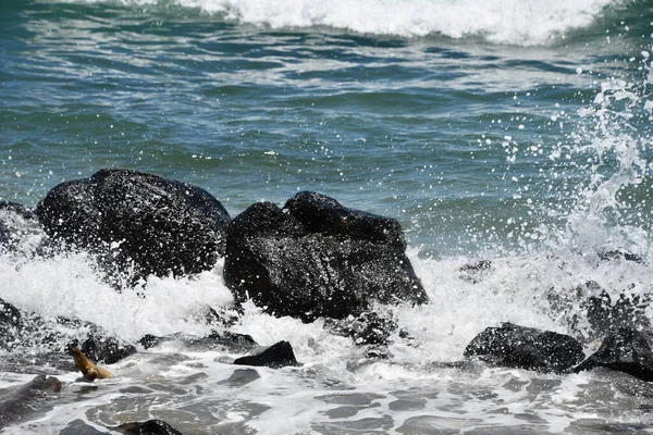 Kapaa Beach Park Ilha Kauai Havaí — Fotografia de Stock