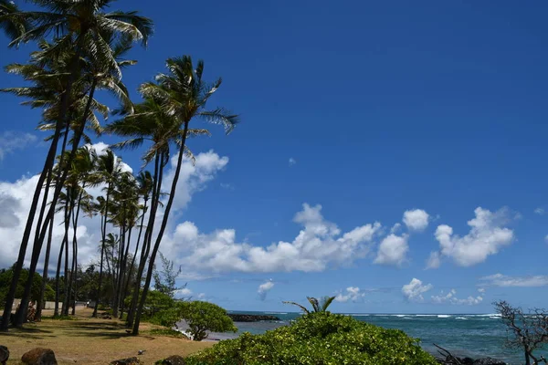 Kapaa Beach Park Kauai Hawaii — Stockfoto