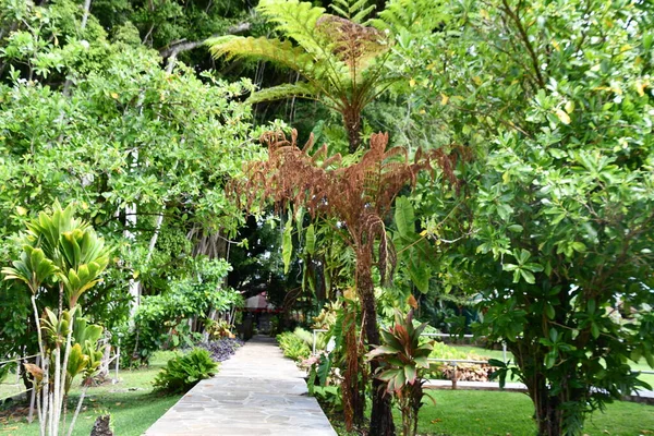 KAPAA HI - 18 AUG Hawaii 'deki Kauai Hindu Manastırı' ndaki Kadavul Tapınağı.