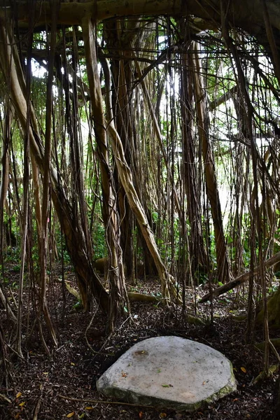 Kapaa Agosto Tempio Kadavul Nel Monastero Indù Kauai Kapaa Sull — Foto Stock