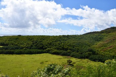 Hawaii 'deki Kauai Adası, Kapaa' daki Poliahu Heiau 'dan Wailua Nehri Eyalet Parkı manzarası