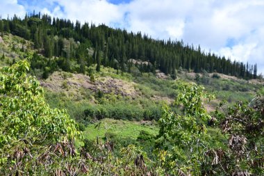 Hawaii, Kauai 'deki Poliahu Heiau' nun panoramik görüntüsü