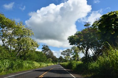 Hawaii 'de Kauai adasının etrafında dolaşmak