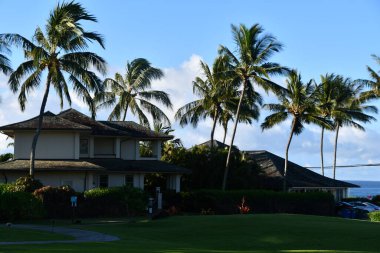 KOLOA, HI - 18 AUG: Poipu 'daki Koloa İniş Tesisi, Kauai Adası' ndaki Koloa Otograf Koleksiyonu, 18 Ağustos 2021 'de görüldüğü gibi.