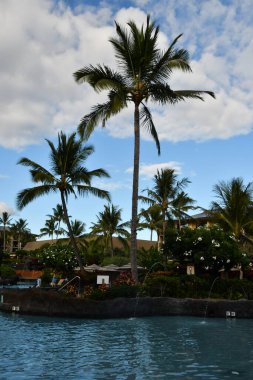 KOLOA, HI - 18 AUG: Poipu 'daki Koloa İniş Tesisi, Kauai Adası' ndaki Koloa Otograf Koleksiyonu, 18 Ağustos 2021 'de görüldüğü gibi.