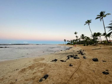 Hawaii 'deki Kauai Adası' ndaki Poipu Sahili 'nde gün doğumu