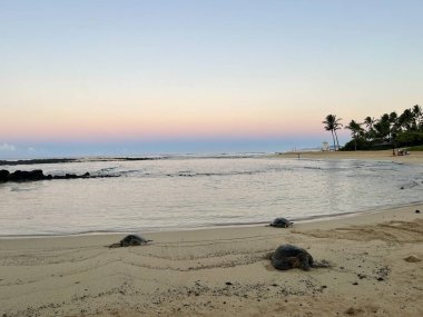 Hawaii 'deki Kauai Adası' ndaki Poipu Sahili 'nde gün doğumu