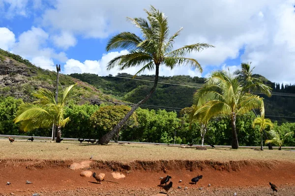 Kapaa Aug Poliahu Heiau Kapaa Het Eiland Kauai Hawaï Gezien — Stockfoto