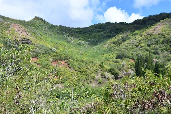 Vista Panorámica Poliahu Heiau Kauai Hawaii —  Fotos de Stock