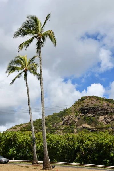 Vista Panorámica Poliahu Heiau Kauai Hawaii —  Fotos de Stock