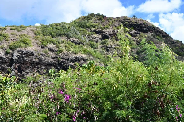 Vista Panoramica Poliahu Heiau Kauai Hawaii — Foto Stock