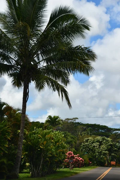 Jazda Wyspie Kauai Hawajach — Zdjęcie stockowe