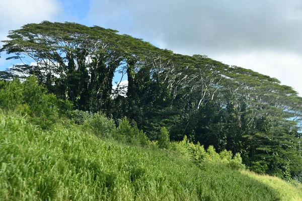 Rondrijden Het Eiland Kauai Hawaï — Stockfoto