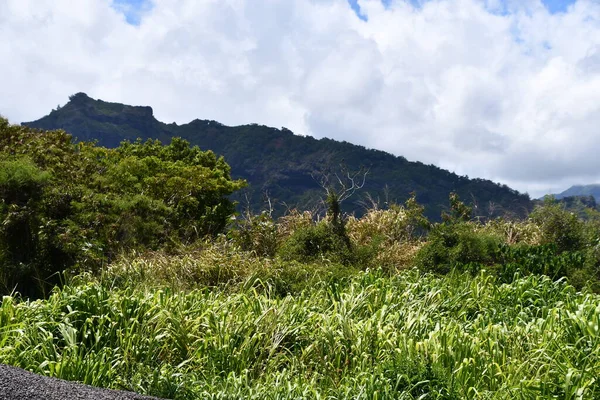 在夏威夷考艾岛开车兜风 — 图库照片