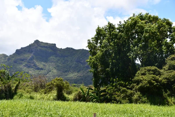 Hawaii Kauai Adanın Etrafında Dolaşmak — Stok fotoğraf