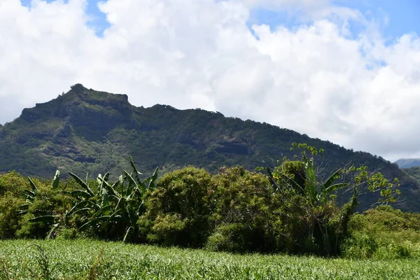 Driving Island Kauai Hawaii — Stockfoto