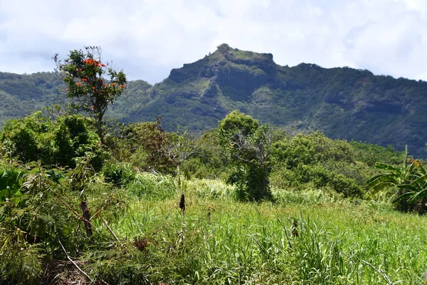 Rijden Rond Het Eiland Kauai Hawaï — Stockfoto