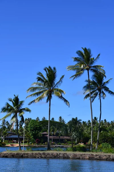 Kauai Aug Rondrijden Het Eiland Kauai Hawaï Gezien Aug 2021 — Stockfoto