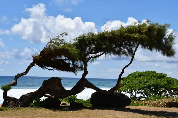 Stranden Kealia Kauai Hawaii — Stockfoto