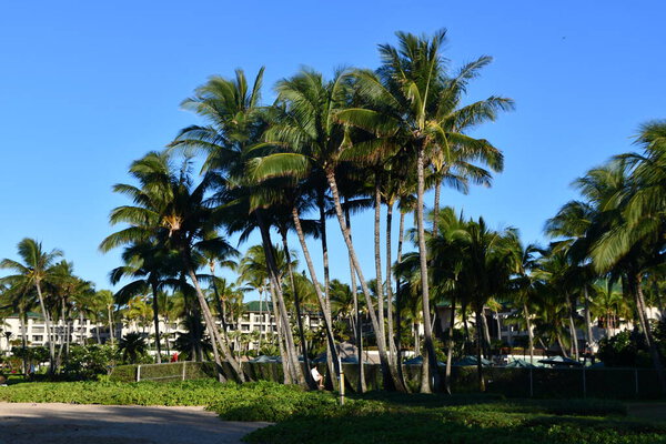 КОЛОА, ХИ - 19 августа: Grand Hyatt Kauai Resort & Spa в Кемпе на острове Кауаи, Гавайи, 19 августа 2021 года.