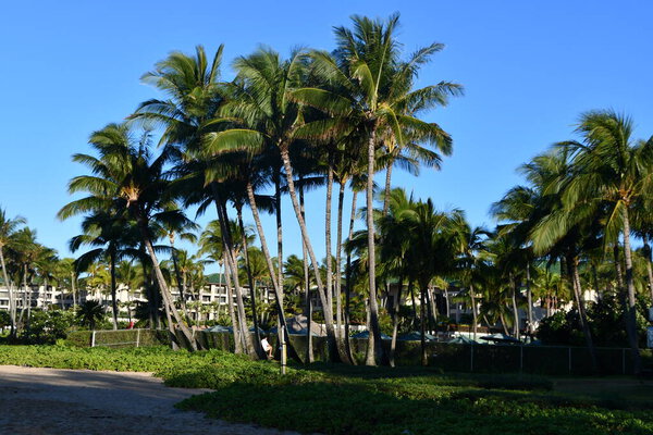 КОЛОА, ХИ - 19 августа: Grand Hyatt Kauai Resort & Spa в Кемпе на острове Кауаи, Гавайи, 19 августа 2021 года.