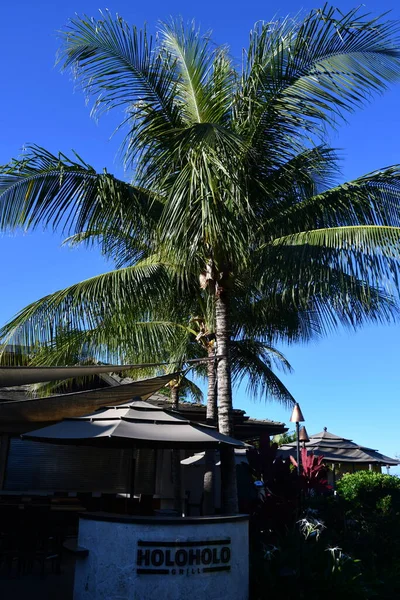 Koloa Aug Koloa Landing Resort Poipu Autographensammlung Koloa Auf Kauai — Stockfoto