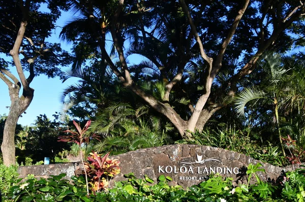 Koloa Août Koloa Landing Resort Poipu Collection Autographes Koloa Sur — Photo