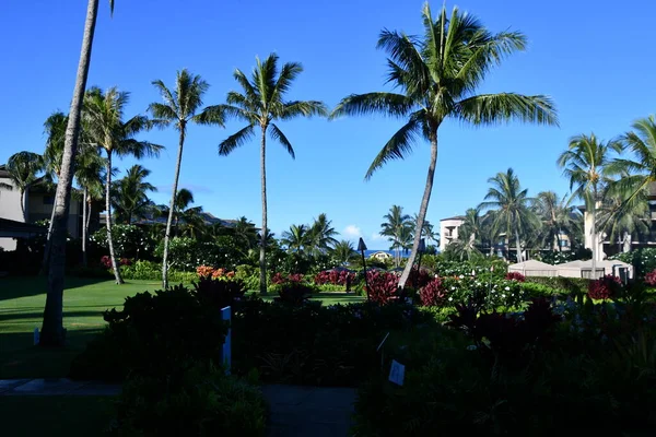 Koloa Aug Koloa Landing Resort Poipu Autograph Collection Koloa Kauai — Fotografia de Stock