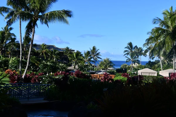 Koloa Agosto Koloa Landing Resort Poipu Autograph Collection Koloa Sull — Foto Stock