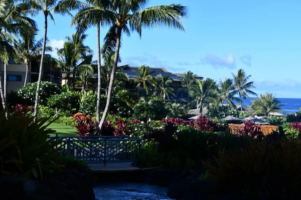 Koloa Agosto Koloa Landing Resort Poipu Autograph Collection Koloa Sull — Foto Stock