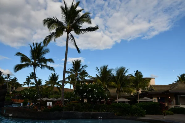 Koloa Aug Poipu Daki Koloa Niş Tesisi Kauai Adası Ndaki — Stok fotoğraf