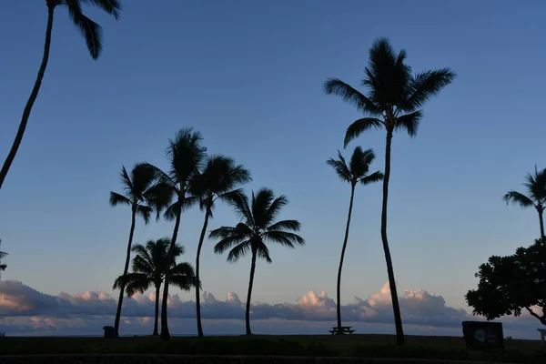 Zonsopgang Poipu Beach Kauai Island Hawaï — Stockfoto